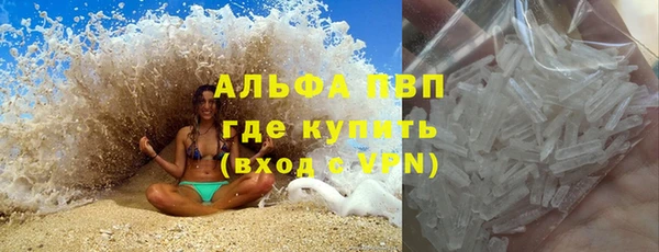 сатива Аркадак
