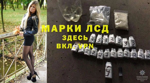 сатива Аркадак