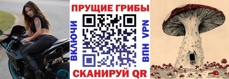 Псилоцибиновые грибы Cubensis  купить   ссылка на мегу ТОР  Можга 