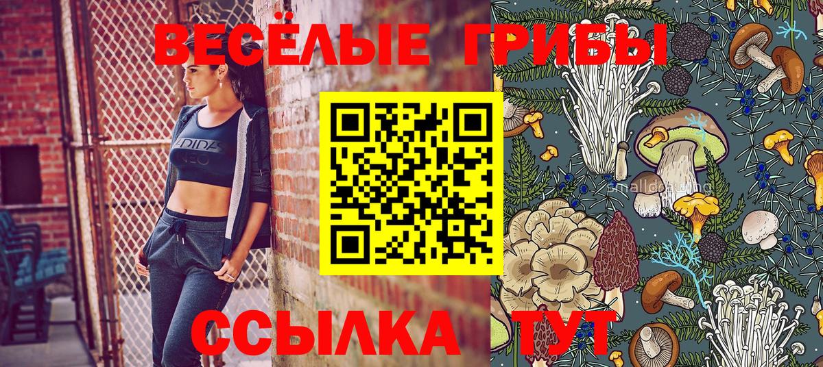 Галлюциногенные грибы Cubensis Можга