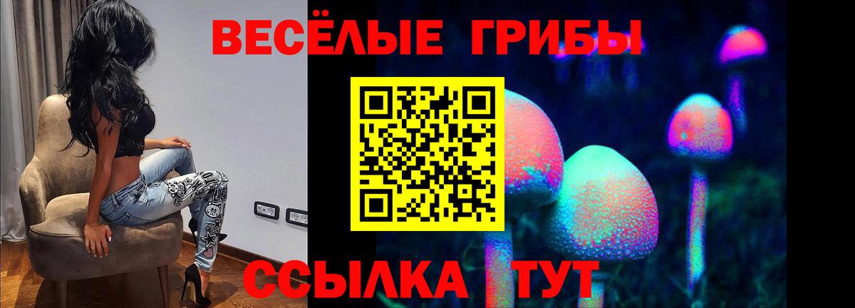 Псилоцибиновые грибы MAGIC MUSHROOMS  Галлюциногенные грибы мицелий  Вход с VPN  Можга 